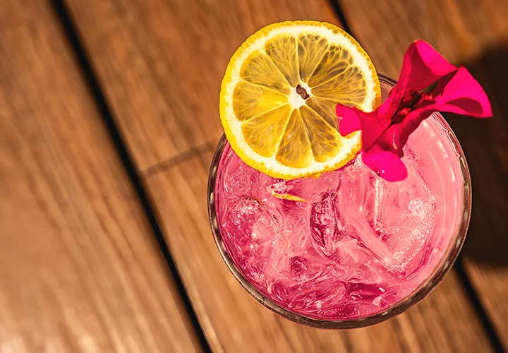 Nicksan Nuevo Vallarta