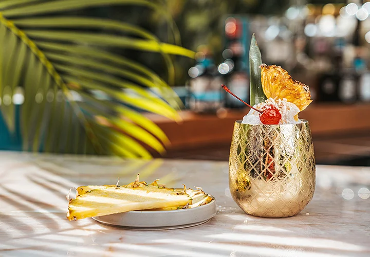 Nicksan Nuevo Vallarta