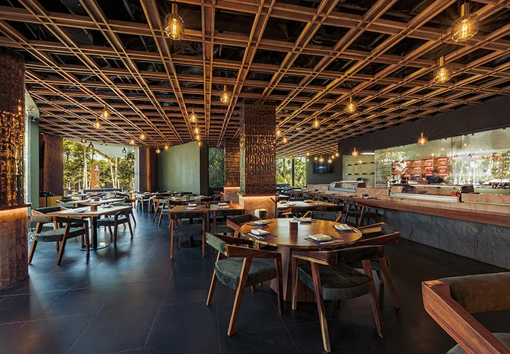 Nicksan Nuevo Vallarta