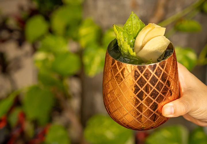 Nicksan Nuevo Vallarta